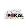 DSB-Pokal (K.o.-Runde) -FÄLLT AUS-