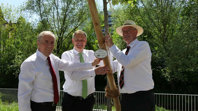 Foto: DSB / Hans-Heinrich von Schönfels, Richard Arnold und Reinhard Mangold samt Silberlinde und provisorischer Plakette.